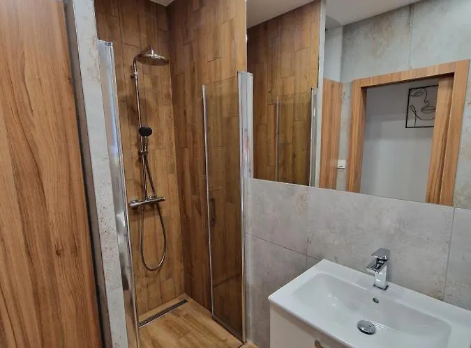 Apartment City Ostrava 公寓 俄斯特拉发